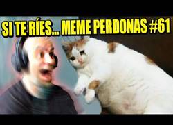 Enlace a SI TE RÍES... MEME PERD0NAS #61