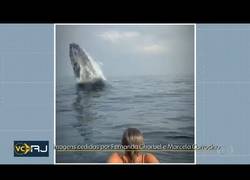 Enlace a Sorprendidos por una ballena en medio del mar