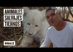 Enlace a Estos son algunos de los encuentros más entrañables de Wild Frank con animales salvajes