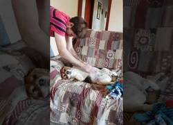 Enlace a ¿Qué acaba de pasar?