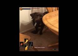 Enlace a La prueba más dura del dark souls