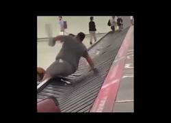 Enlace a Es como ver una tortuga sobre el caparazón