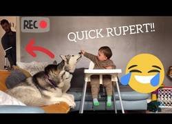 Enlace a Ahora que padre se ha ido, toma