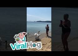 Enlace a No podía terminar de otra manera