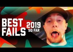 Enlace a Documental sobre el depredador más peligroso del ser humano, la estupidez