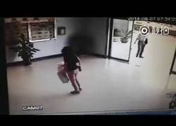 Enlace a Bucle de perretes tontacos