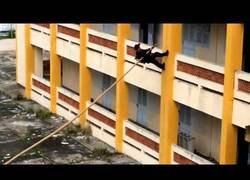 Enlace a Cuando te olvidas las llaves pero tienes buenos colegas