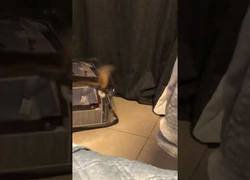 Enlace a Para vencer a la bolsa TIENES que ser la bolsa