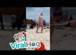 Enlace a ¡No toques! ¿Para qué tocas?