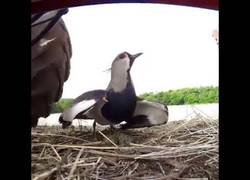 Enlace a ''Y que no se vuelva a repetir''