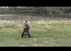 Enlace a Entrenamiento de un perro K9 para cuando abren fuego
