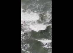 Enlace a Cadena humana para salvar a un bañista en peligro