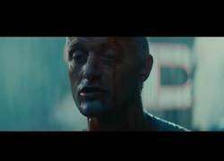 Enlace a Ha fallecido Rutger Hauer, el hombre que nos regaló uno de los momentos más míticos de la historia del cine.