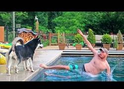 Enlace a Jamás pensé que iba a funcionar