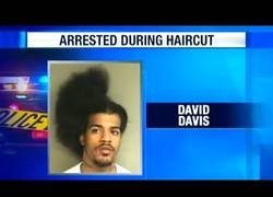 Enlace a La magia del directo