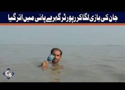 Enlace a Esto es dedicación y lo demás son tonterías