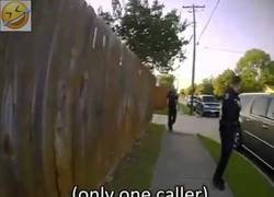 Enlace a Los polis majos también existen