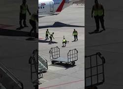 Enlace a 7 operarios vs 1 perrito en el aeropuerto