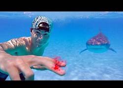 Enlace a Experimento ¿los tiburones son atraídos por la sangre? [ENG]