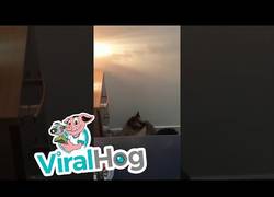 Enlace a Estas mujeres siempre llegan tarde a trabajar, y ahora saben el motivo