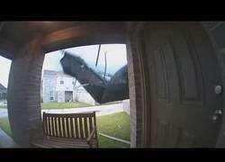 Enlace a ¡Hola! ¿tienes un poco de sal, por favor?