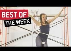 Enlace a Lo más viral de la red en la última semana