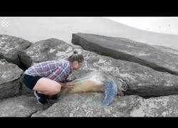 Enlace a Esta pareja salva a una tortuga atrapada entre dos grandes rocas a la orilla del mar