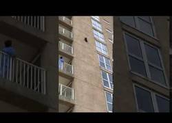Enlace a Un mapache cae de la fachada de un edificio y sobrevive