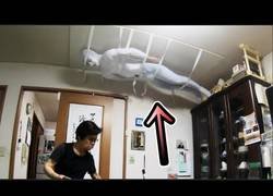 Enlace a Las abuelas son seres de luz, pero también el mejor objetivo para algunas bromas