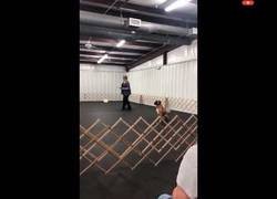 Enlace a Se supone que tiene que correr hacia ella y sentarse