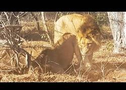 Enlace a Tienen mejor trabajo en equipo que en mi casa el día de navidad