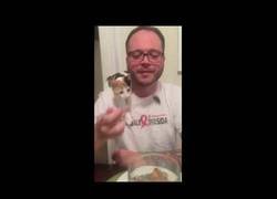 Enlace a Una de animales siendo unos cabrones