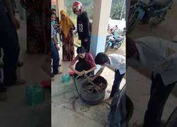 Enlace a Sus alumnos no podían concentrarse por la presencia de una pitón, así que se libró de ella de esta manera