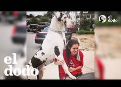 Enlace a Kernel es simplemente un bebé gigante