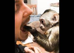 Enlace a Espera al final...