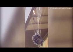 Enlace a Batman vs Spiderman