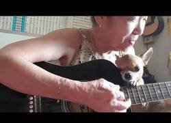 Enlace a Ya quisiera yo tener una abuela así