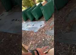 Enlace a Yo lo llamaría colágeno