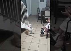 Enlace a Esto si que es un buen 'perreo'