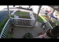 Enlace a Repartidor de FedEx para únicamente para esto