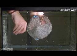 Enlace a El placer del Slow Motion