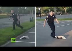 Enlace a Pepe le Pew ataca de nuevo