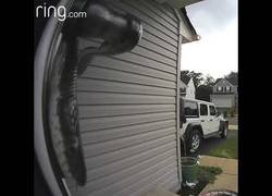 Enlace a La cámara de seguridad de su casa le advierte que le espera una desagradable sorpresa en la puerta