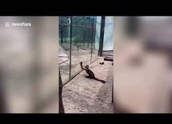 Enlace a ¡Hostia ¿qué ha pasado?!