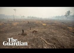 Enlace a Vistas desde un dron sobre el amazonas después de la tragedia