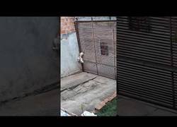 Enlace a En el barrio lo llaman Ethan Hunt