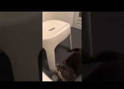 Enlace a No hace falta complicarse la vida para divertirse un rato