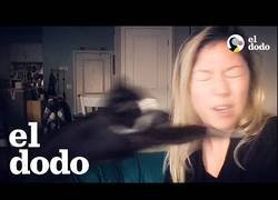 Enlace a ¡Que no cantes mujeeeeer!