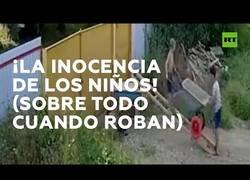 Enlace a Más vale maña que fuerza