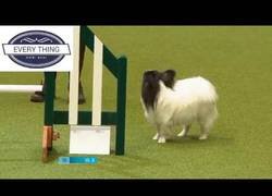 Enlace a Que no me da la gana, Karen